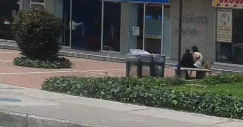 BANCO CAJA SOCIAL SUCURSAL AV CIUDAD DE CALI BANCO CAJA SOCIAL SUCURSAL AV CIUDAD DE CALI